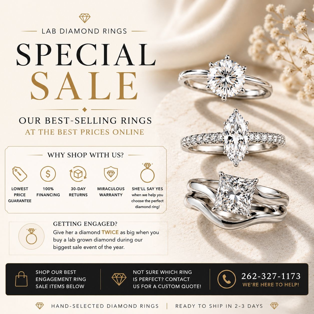 Special Sale! Special Sale!