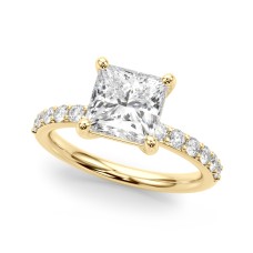  Princess & Diamond Accents  2.86 carat Regular $4450 NOW 1899.00 (Diamond and Setting)