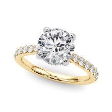Destiny  Hidden Halo $1449.00